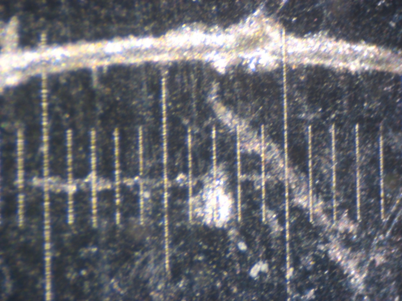 vetrino micrometrico