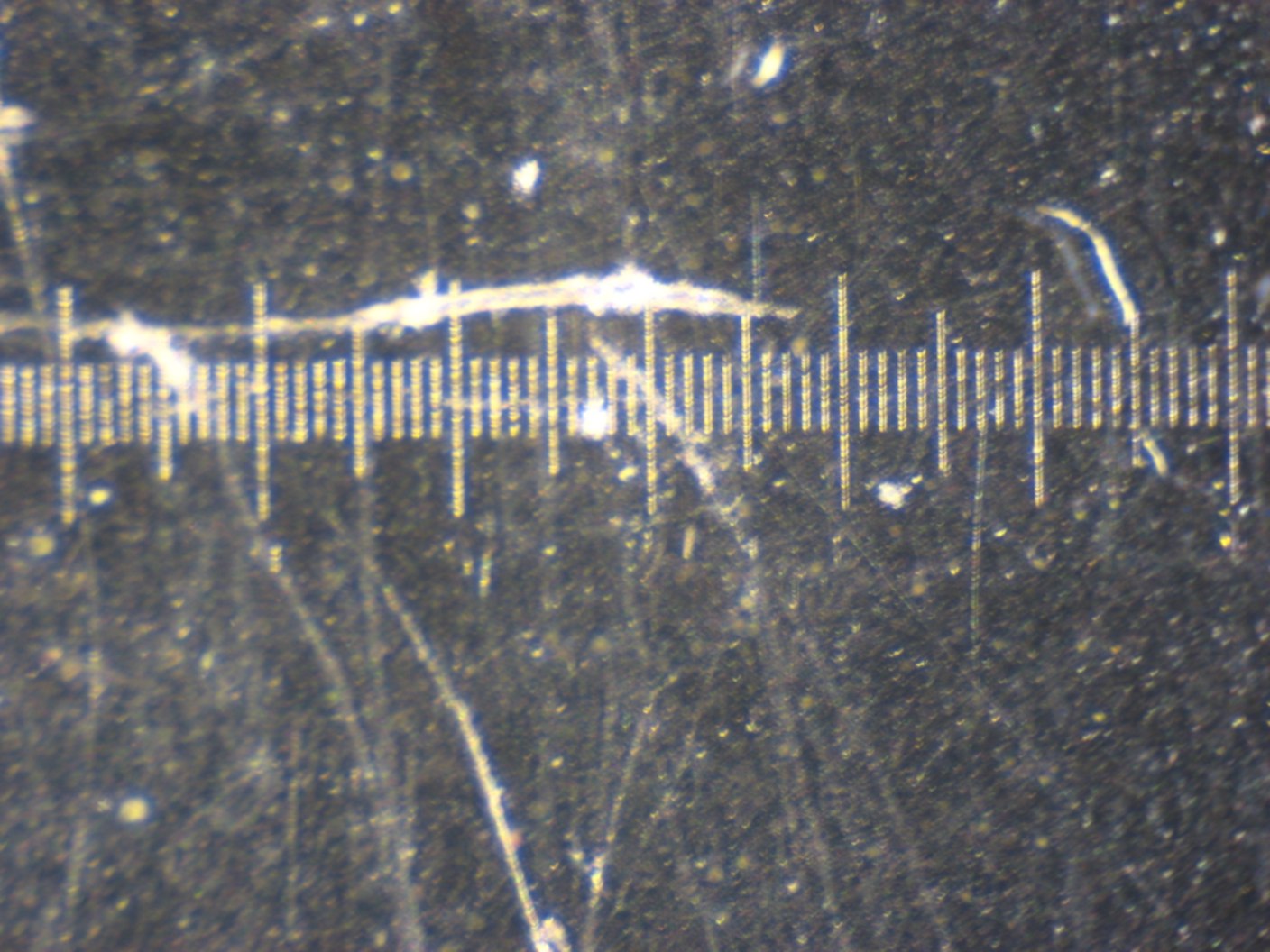 vetrino micrometrico