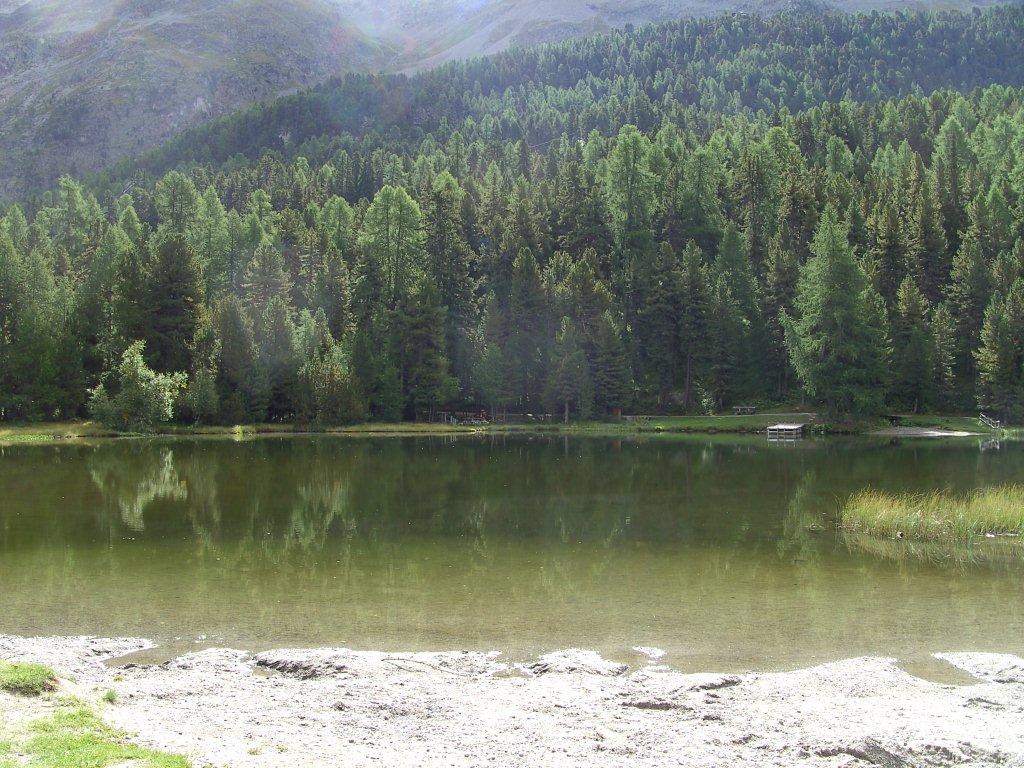 Micro  Gite