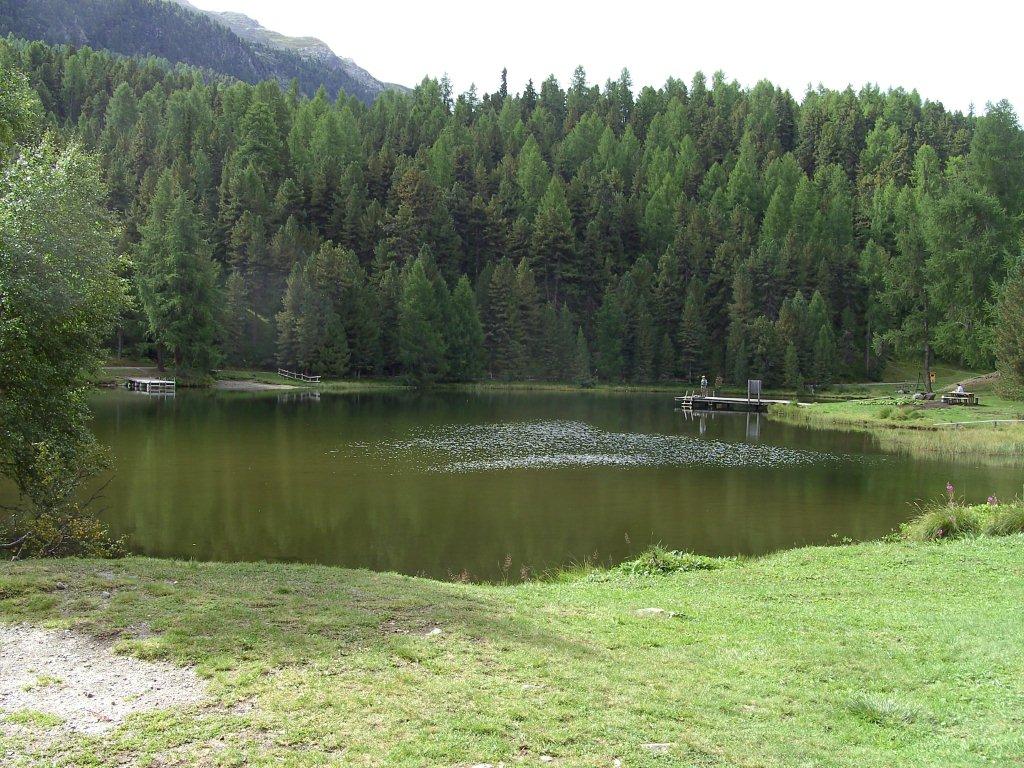 Micro  Gite