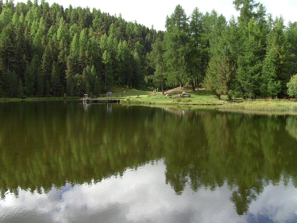 Micro  Gite