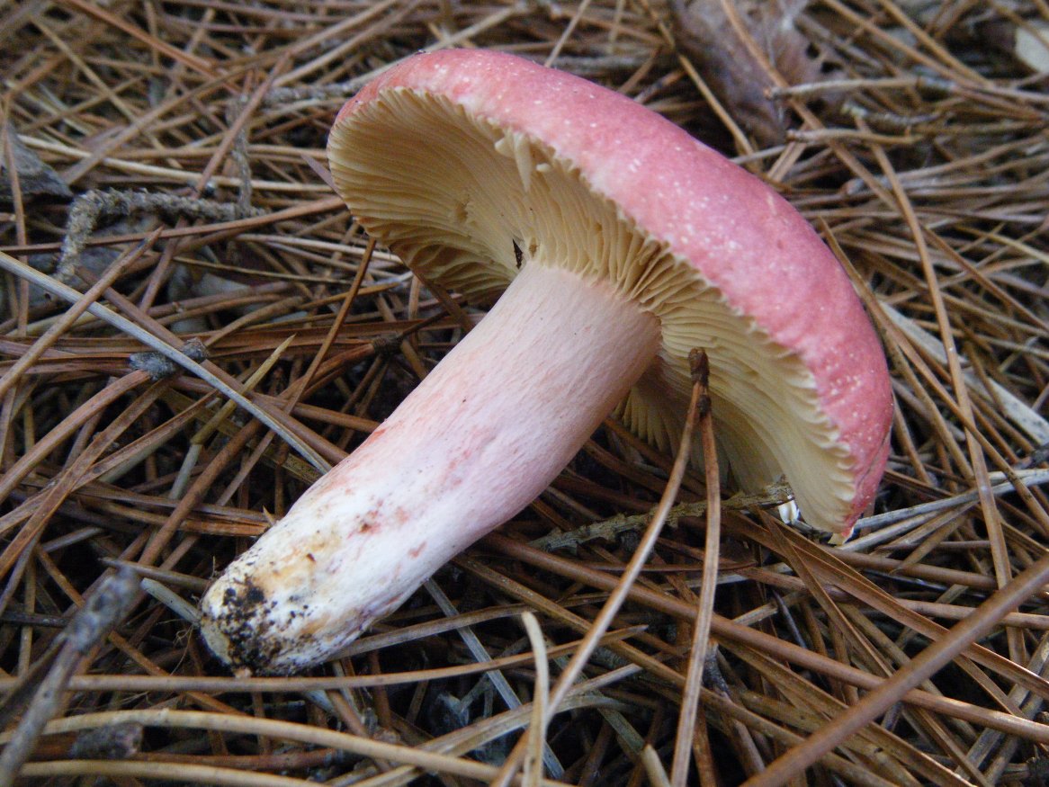 ...ancora Maremma toscana..parte1