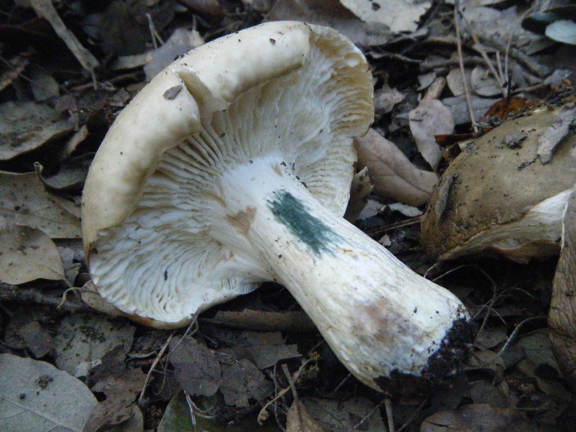 ...ancora Maremma toscana..parte1