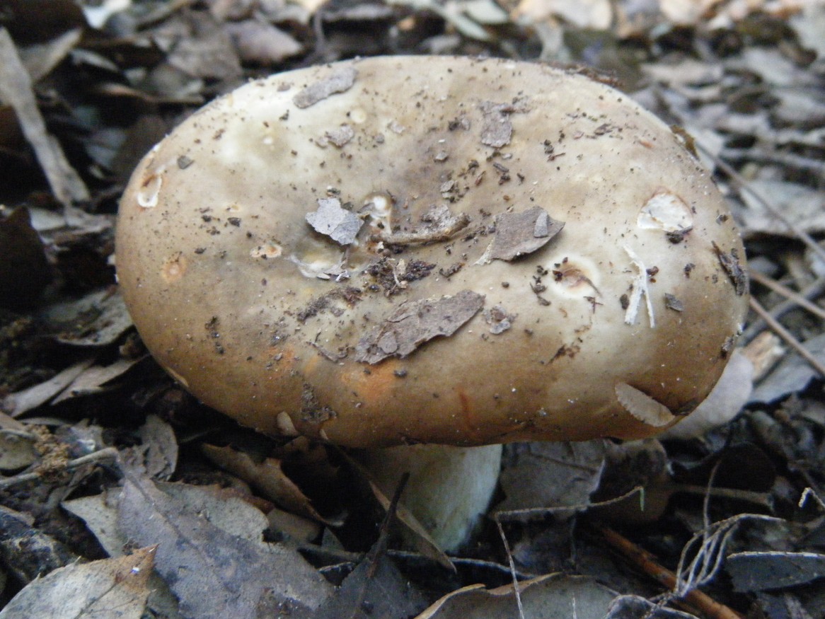 ...ancora Maremma toscana..parte1