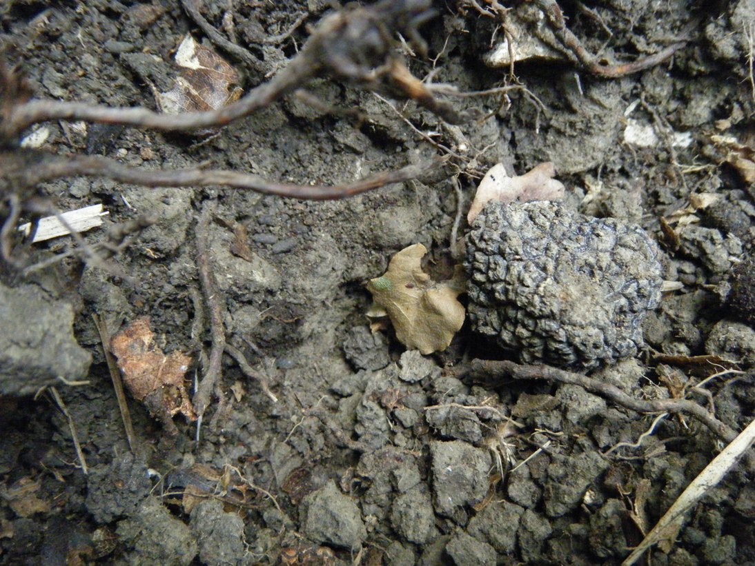 ...c''� chi sopravvive...