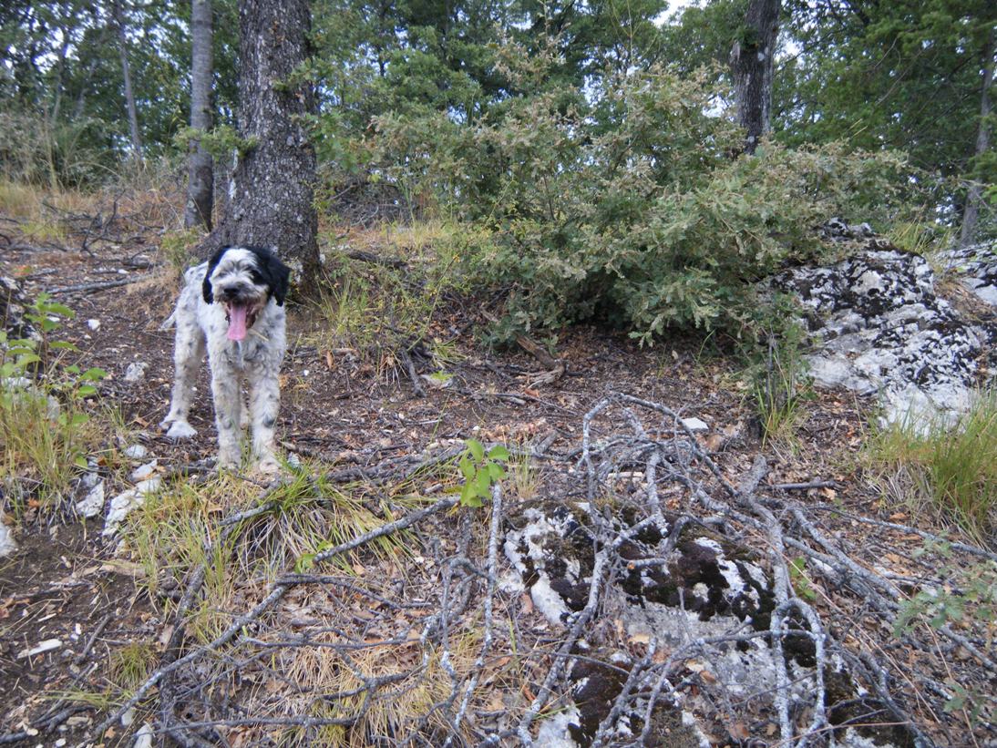 ...c''� chi sopravvive...