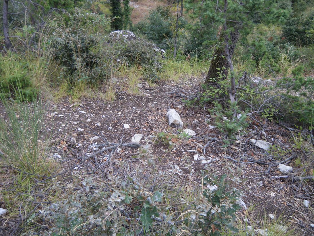 ...c''� chi sopravvive...