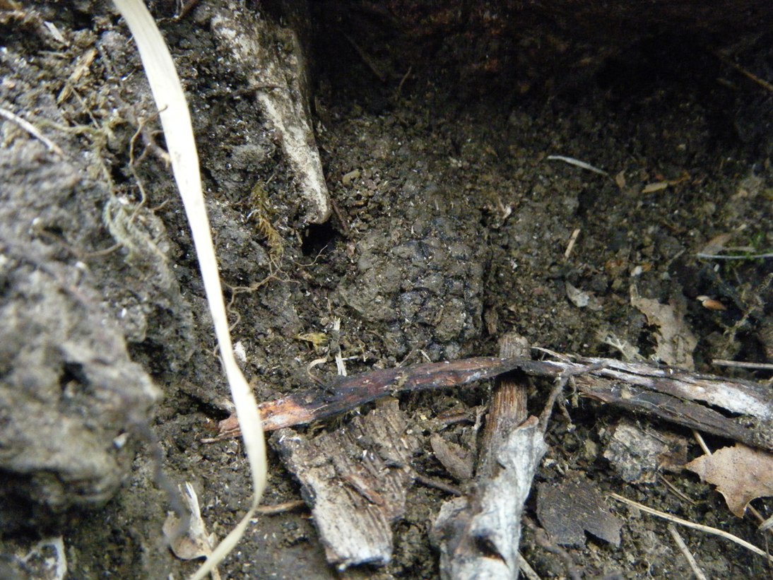 ...c''� chi sopravvive...