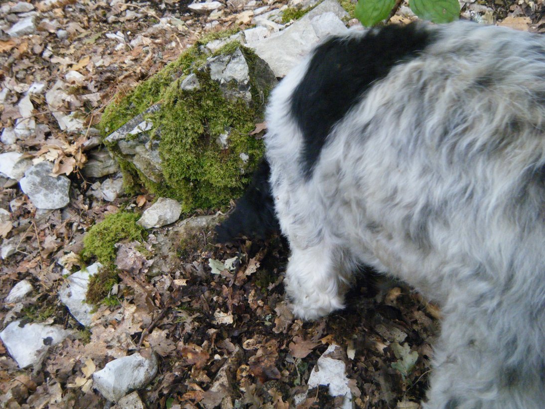 ...c''� chi sopravvive...