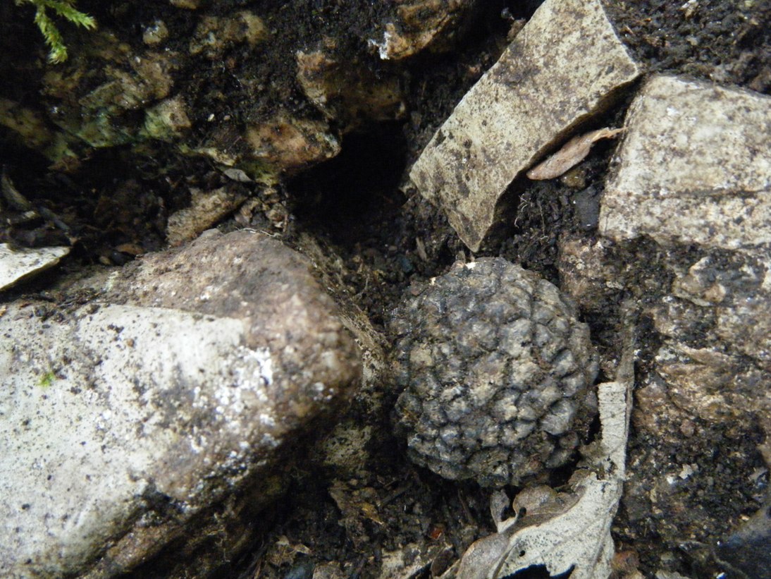 ...c''� chi sopravvive...