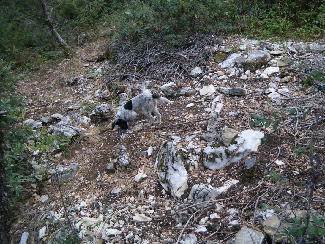 ...c''� chi sopravvive...