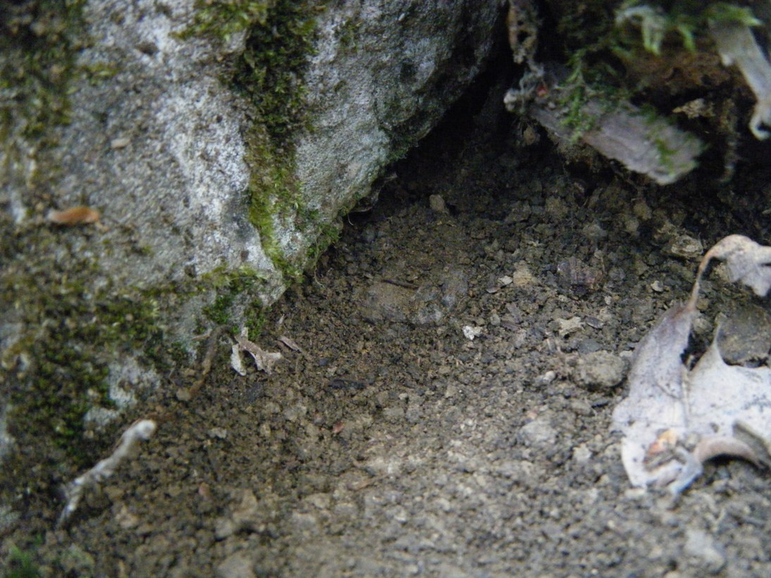 ...c''� chi sopravvive...