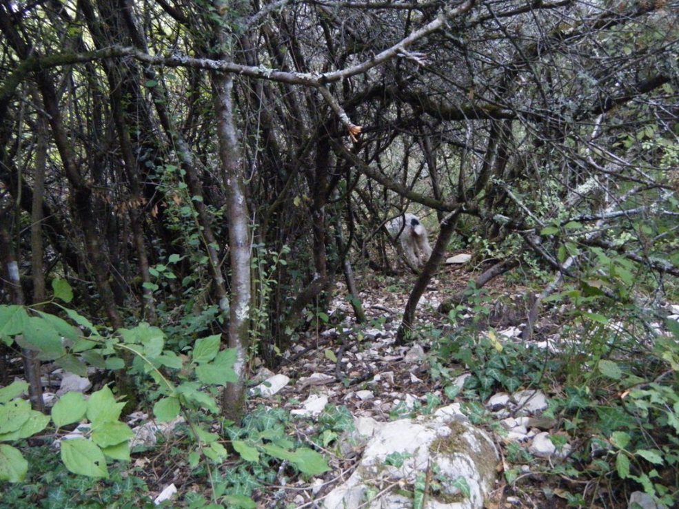 ...c''� chi sopravvive...