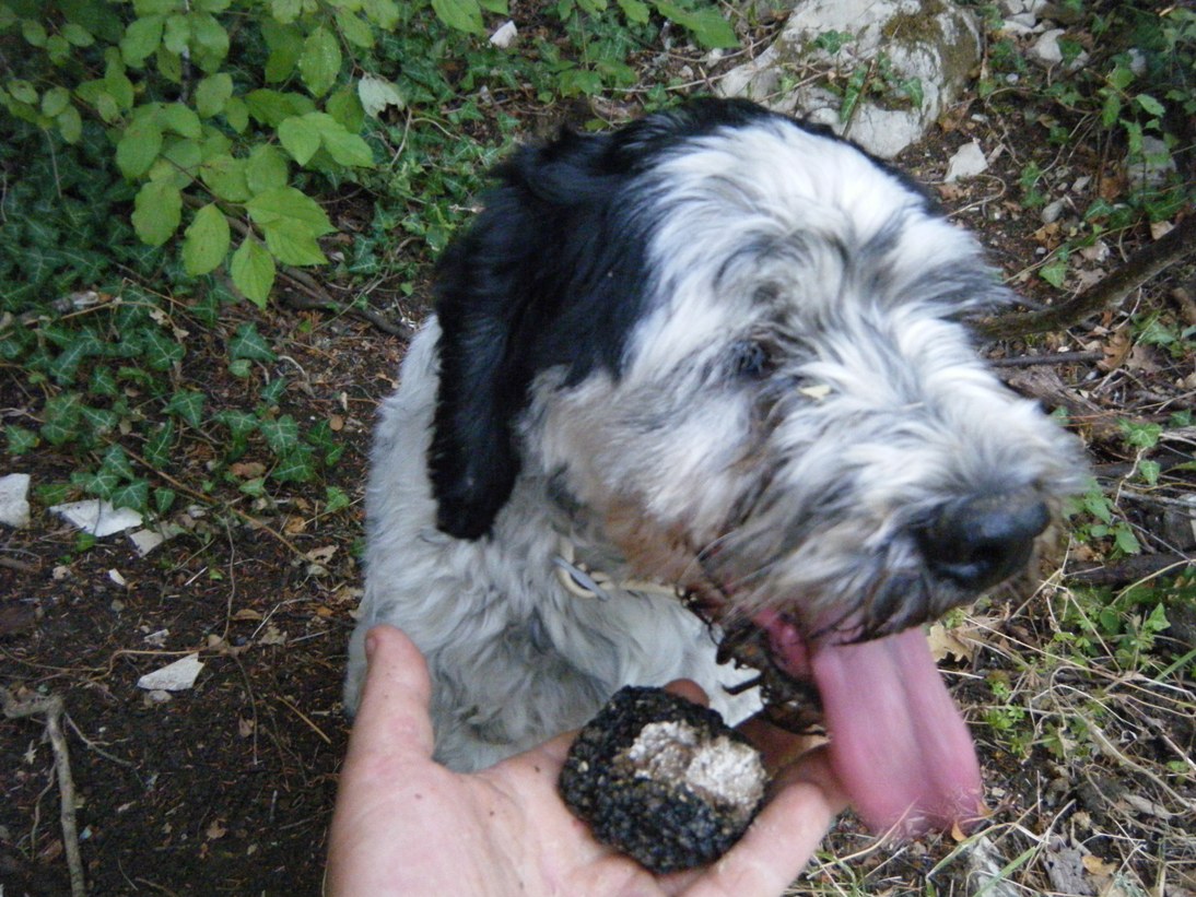 ...c''� chi sopravvive...