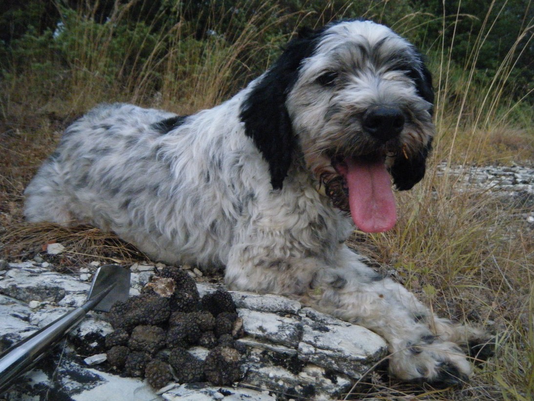 ...c''� chi sopravvive...