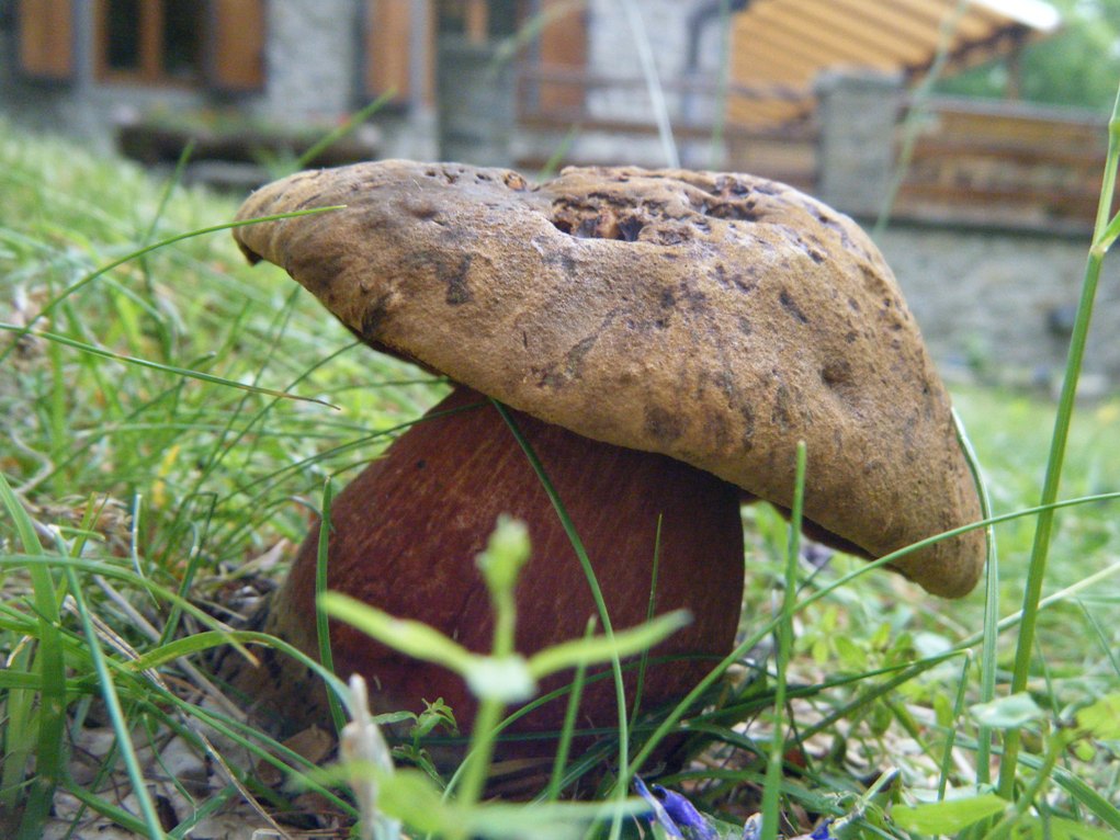 Presi nella rete...quiz.