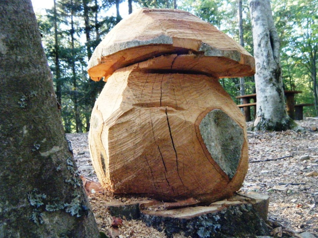 Il Casentino e le due