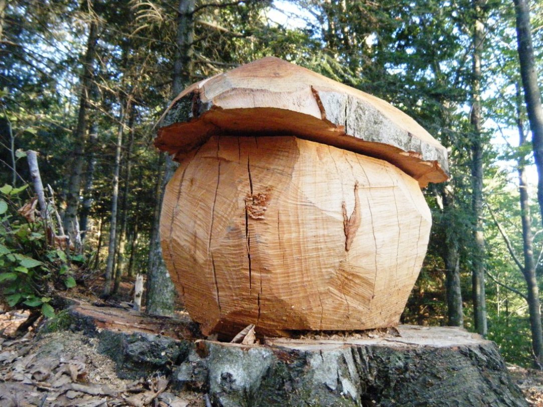 Il Casentino e le due