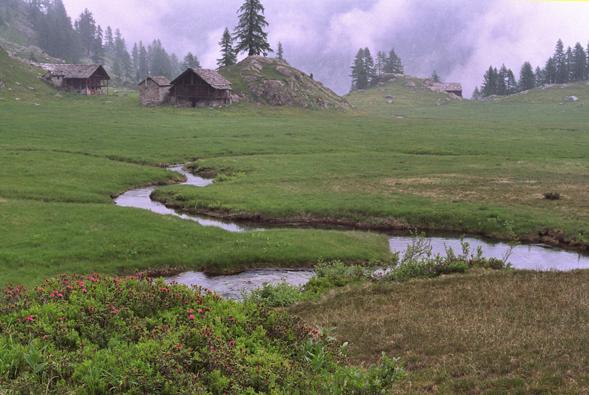 Alpe Larecchio