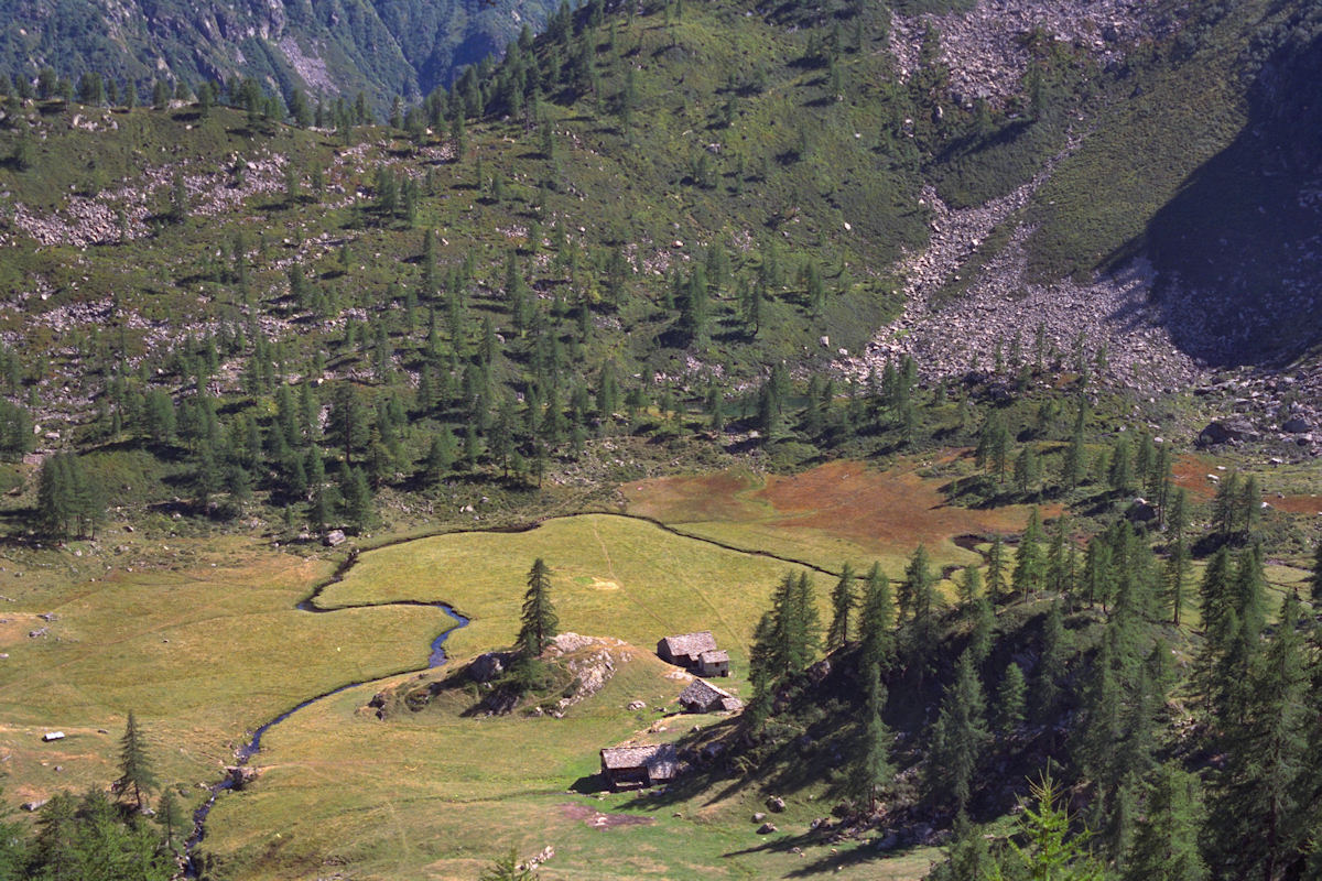 Alpe Larecchio