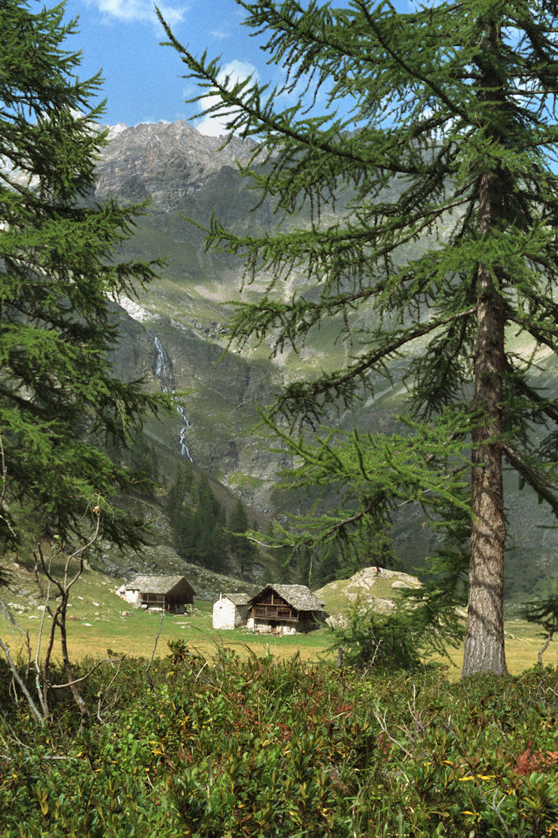 Alpe Larecchio