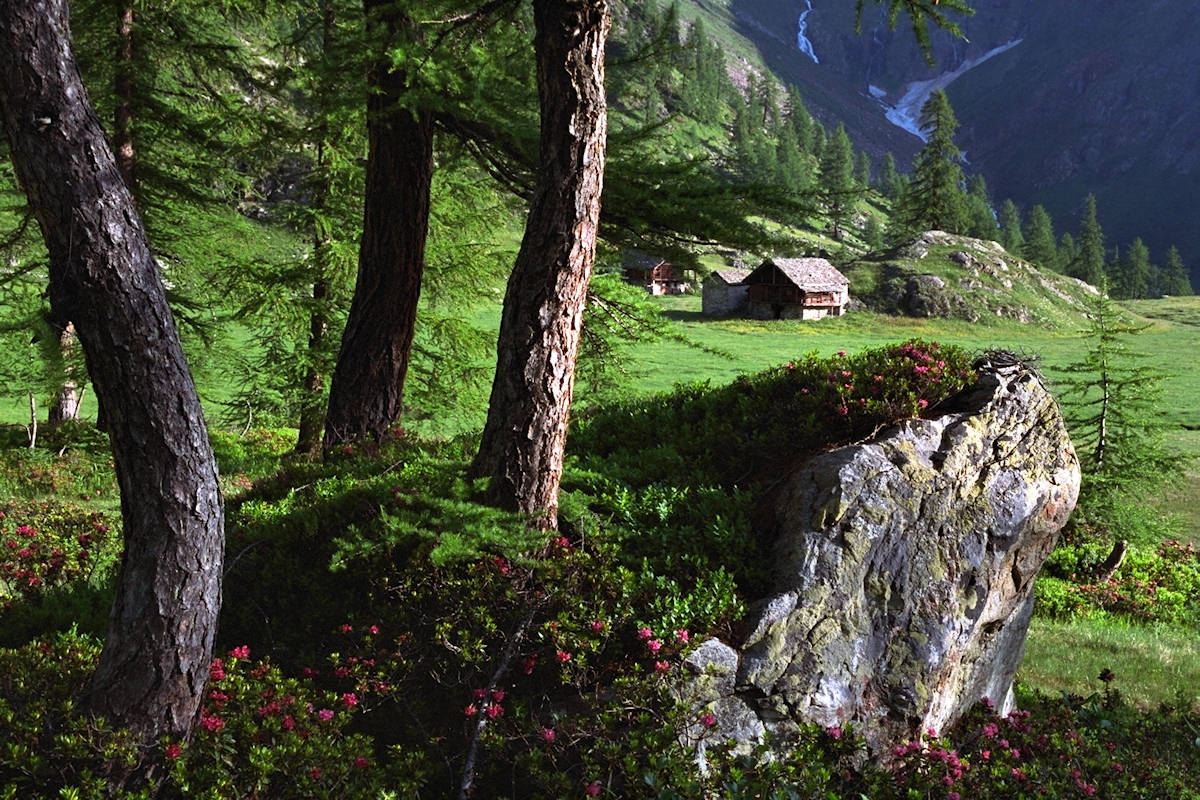 Alpe Larecchio