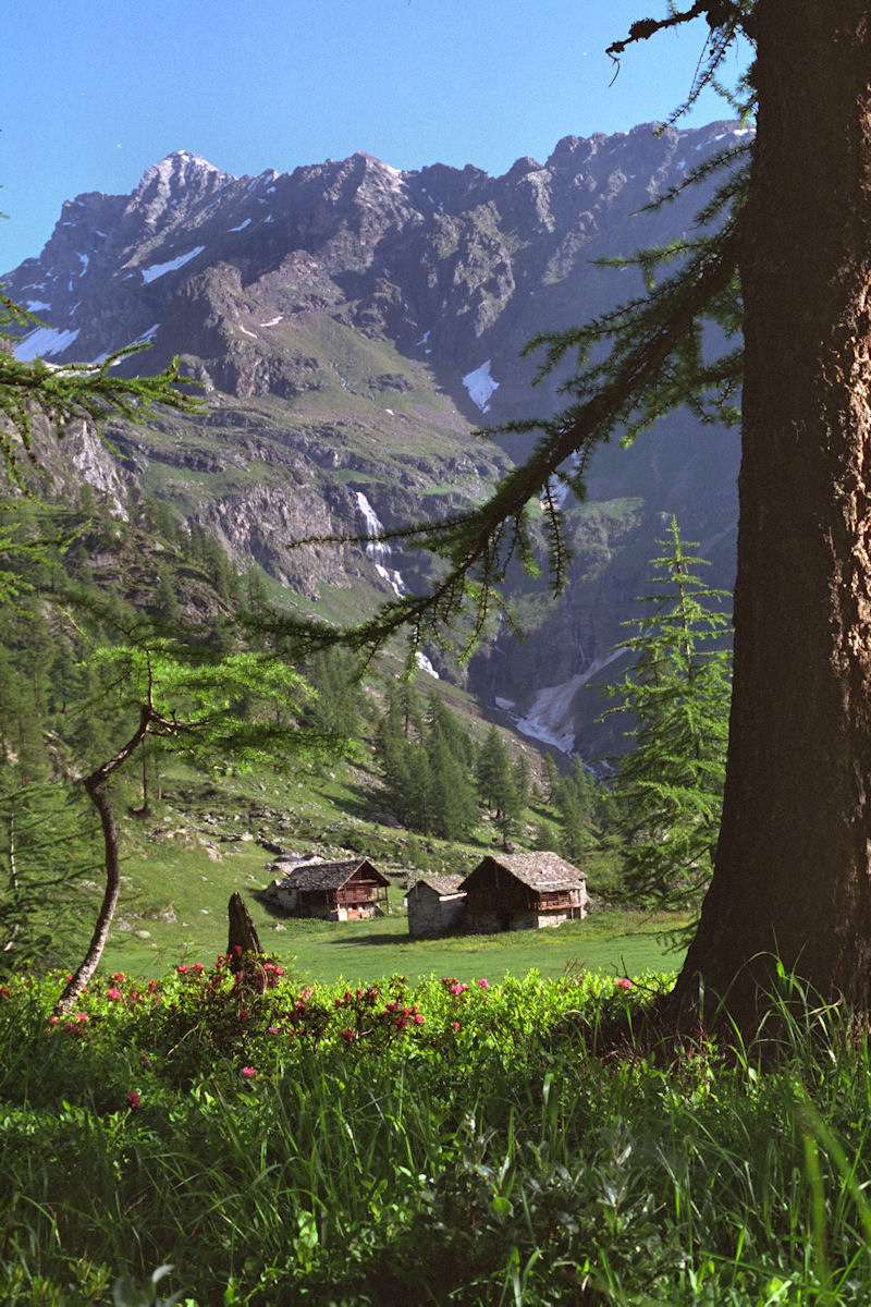 Alpe Larecchio
