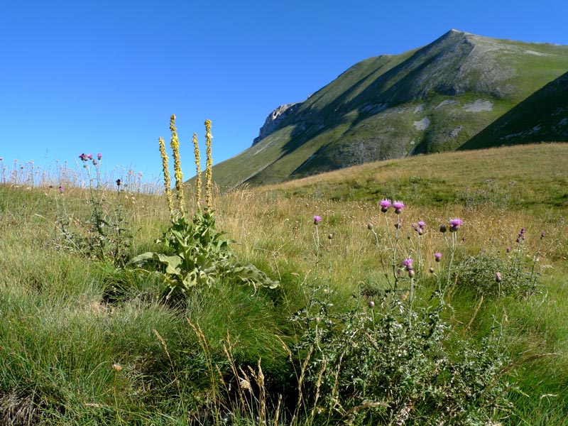 Sopra i 2000 m s.l.m. con l''amico Ennio
