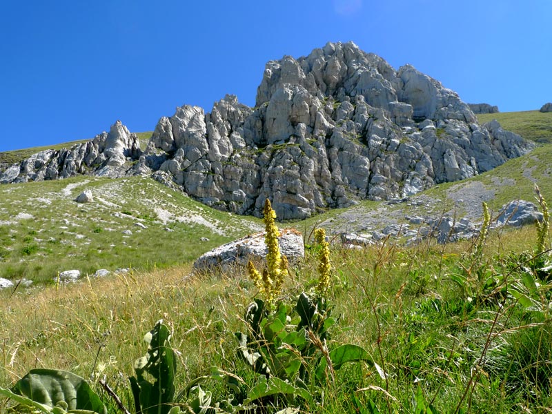 Sopra i 2000 m s.l.m. con l''amico Ennio