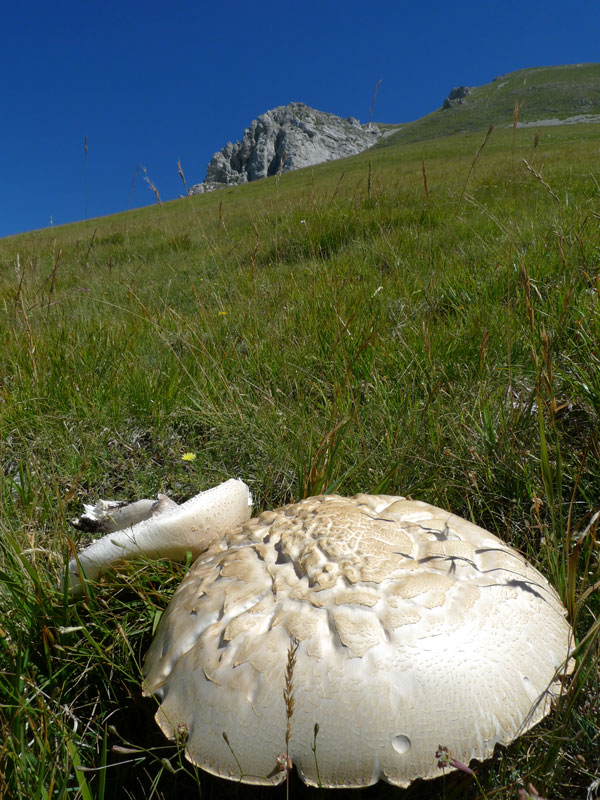 Sopra i 2000 m s.l.m. con l''amico Ennio