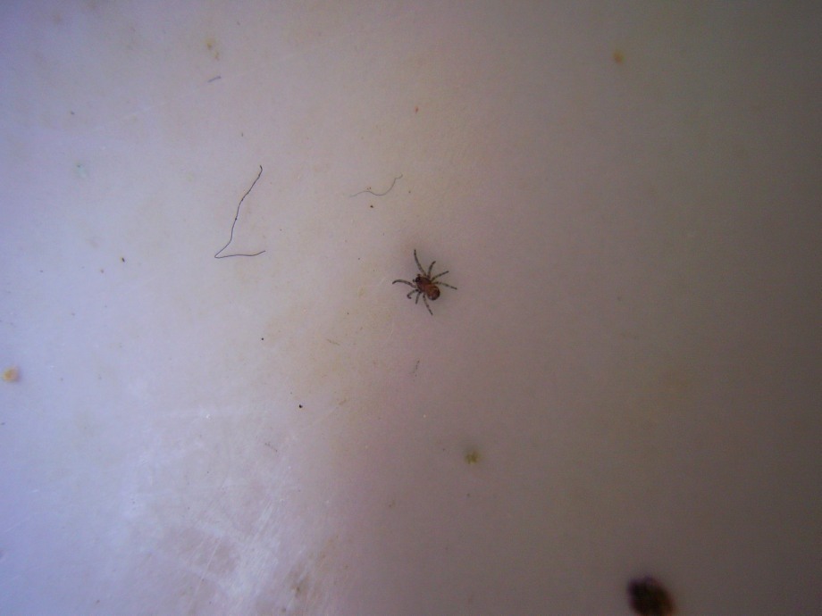 Richiesta identificazione