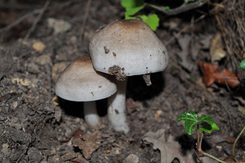 Ritrovamenti del 22/06/11