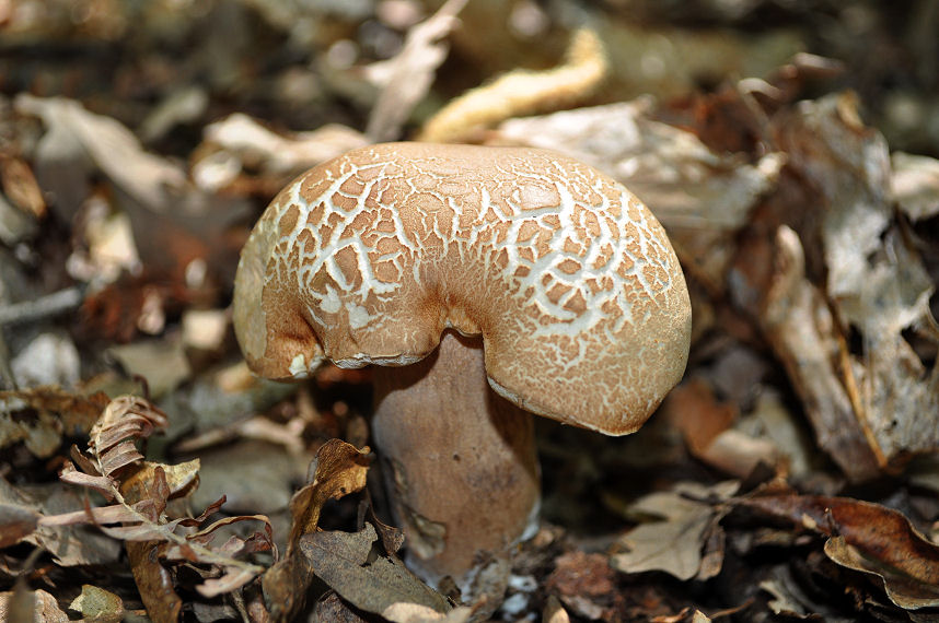 Ritrovamenti del 22/06/11