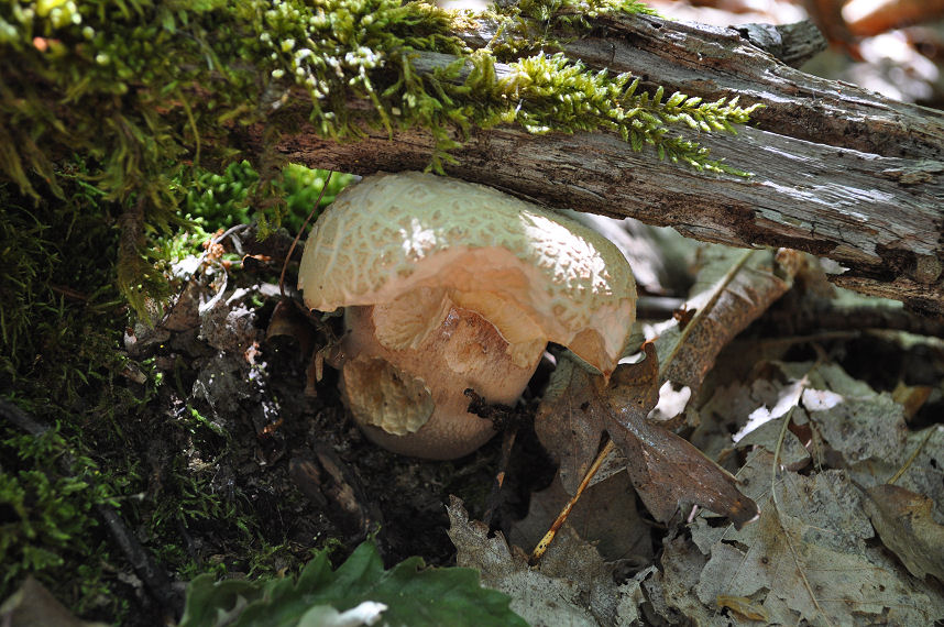 Ritrovamenti del 22/06/11