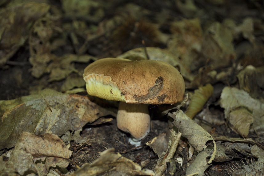 Ritrovamenti del 22/06/11