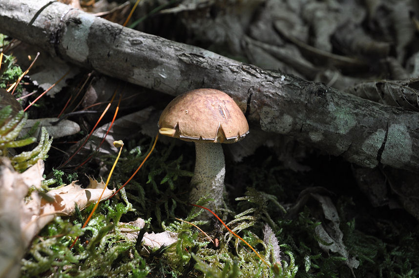 Ritrovamenti del 22/06/11