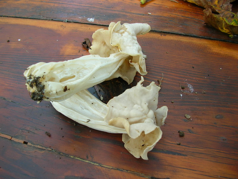 .2 soggetti da determinare