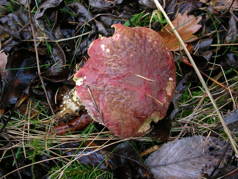 ..3 soggetti da determinare