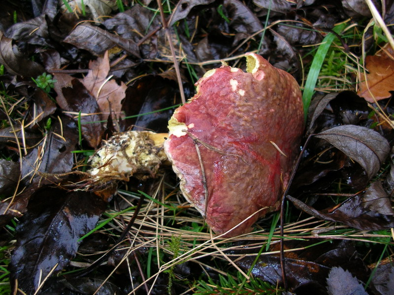 ..3 soggetti da determinare