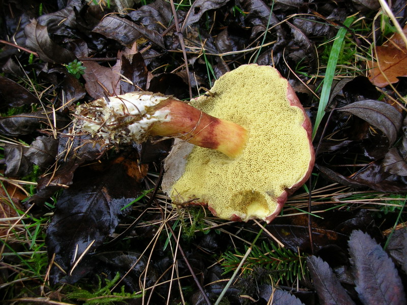 ..3 soggetti da determinare