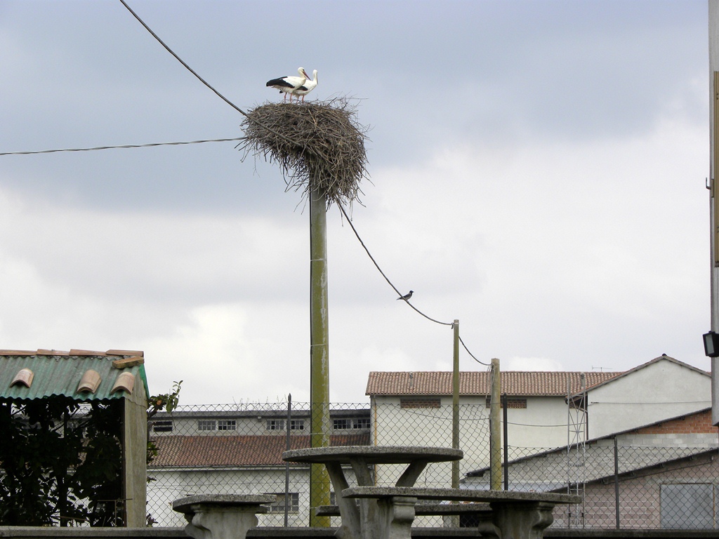 Centro aviofaunistico 