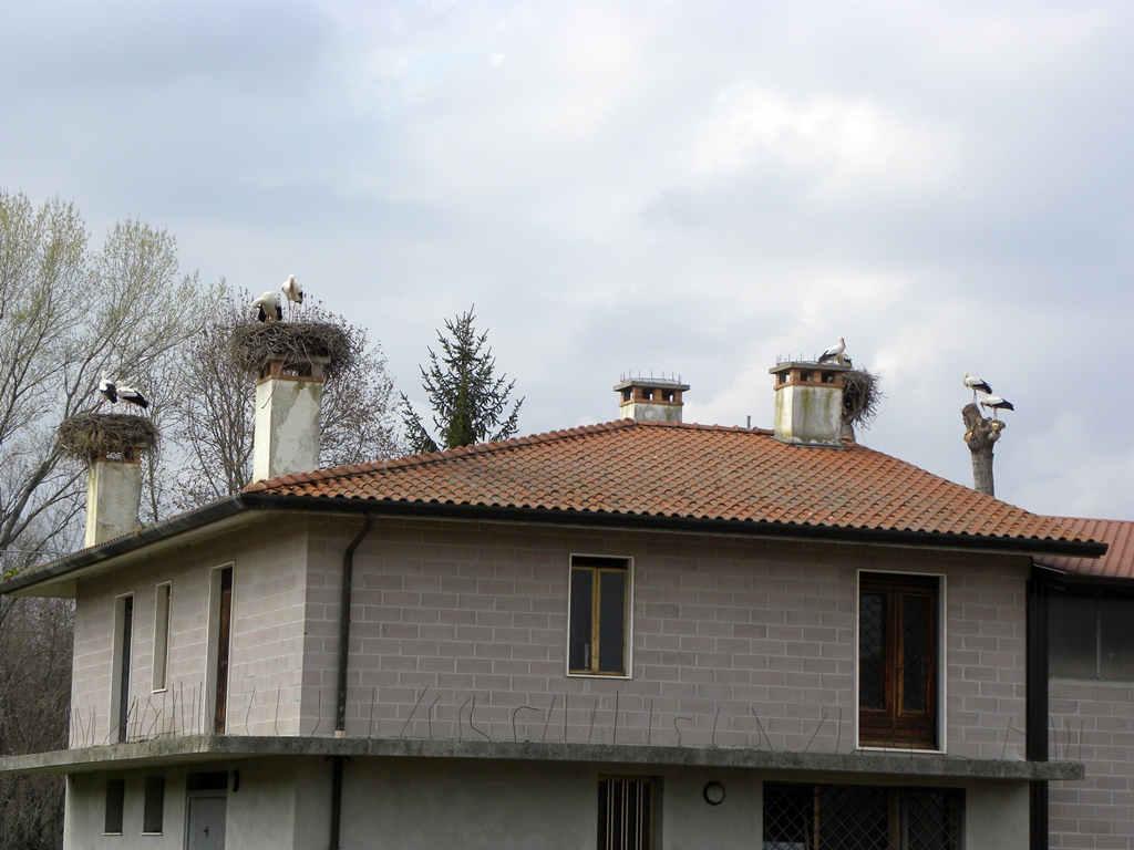 Centro aviofaunistico 