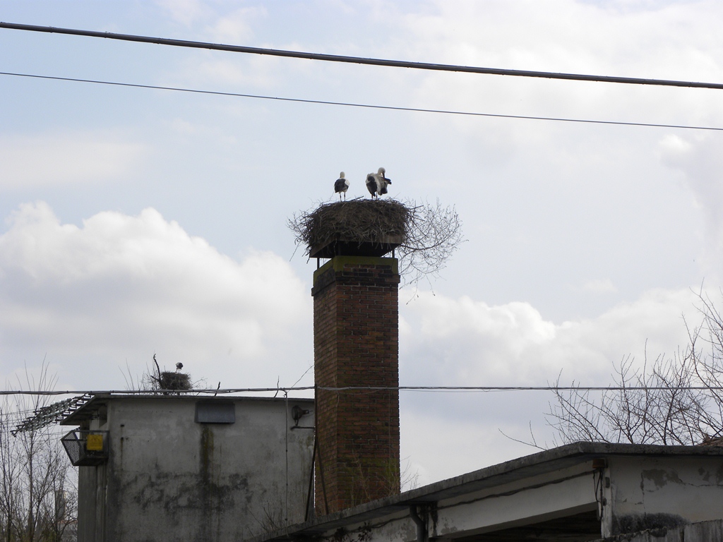 Centro aviofaunistico 