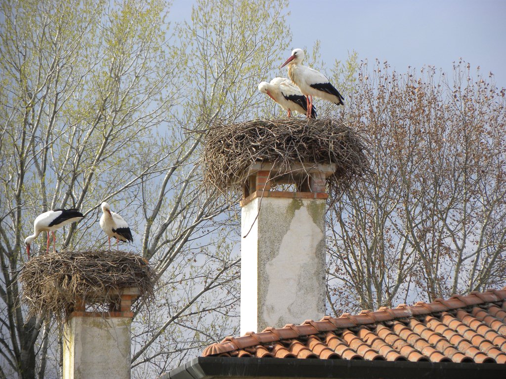Centro aviofaunistico 