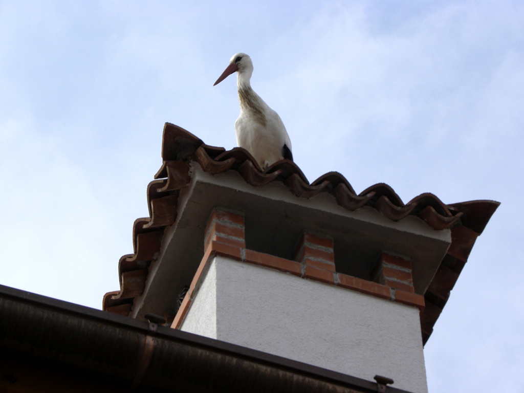 Centro aviofaunistico 