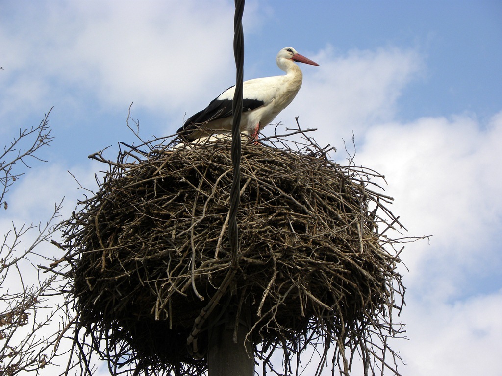 Centro aviofaunistico 