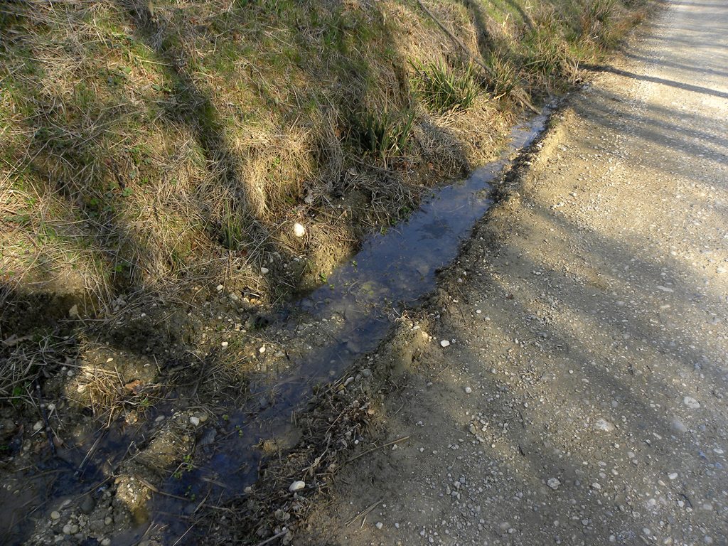 Gli ululoni cominciano a far capolino.