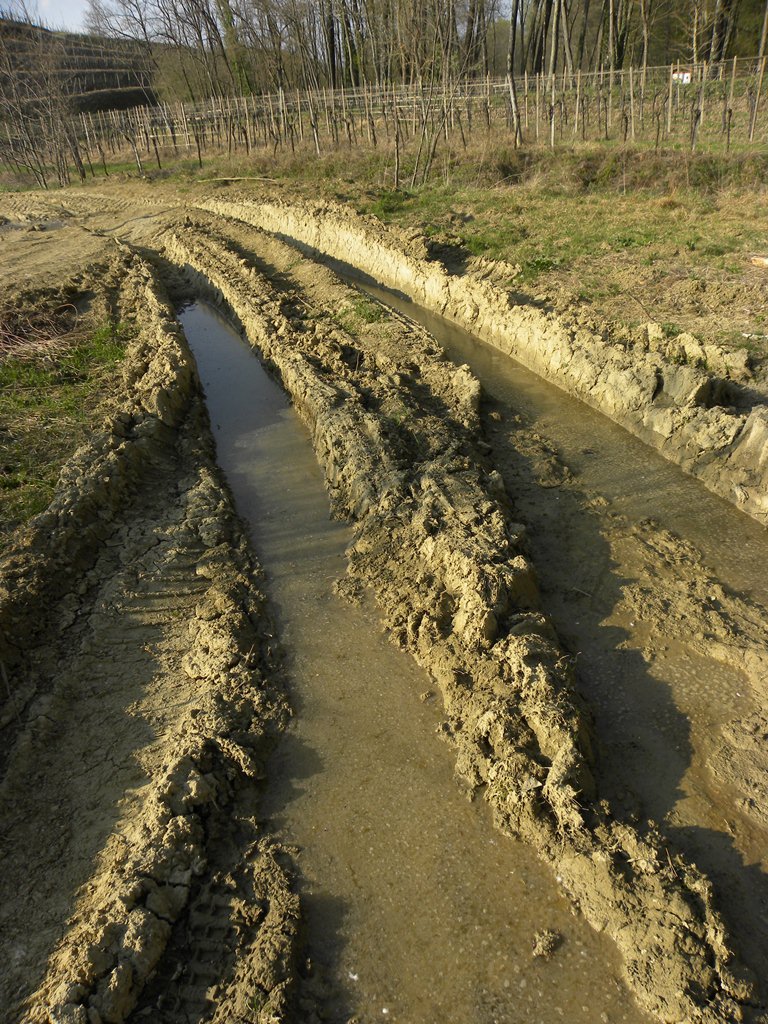 Gli ululoni cominciano a far capolino.