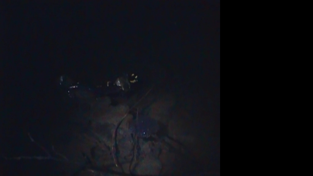 La stranissima coppia bis