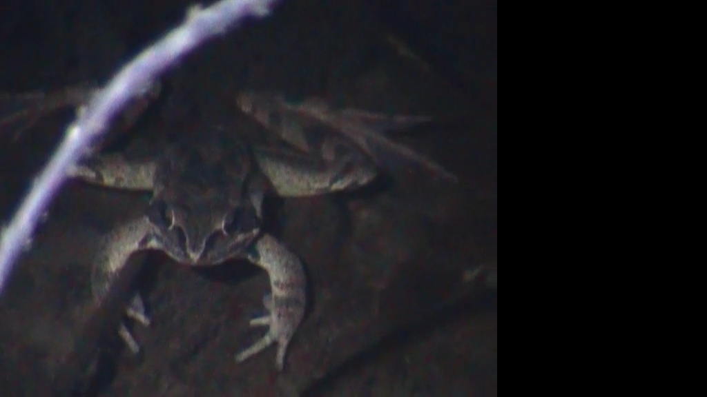 La stranissima coppia bis